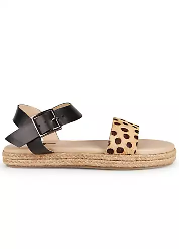 Freestyle Evie Ankle Strap Animal Flatform Sandals | Grattan