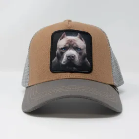 Men GOLD STAR Pitbull Trucker Hat