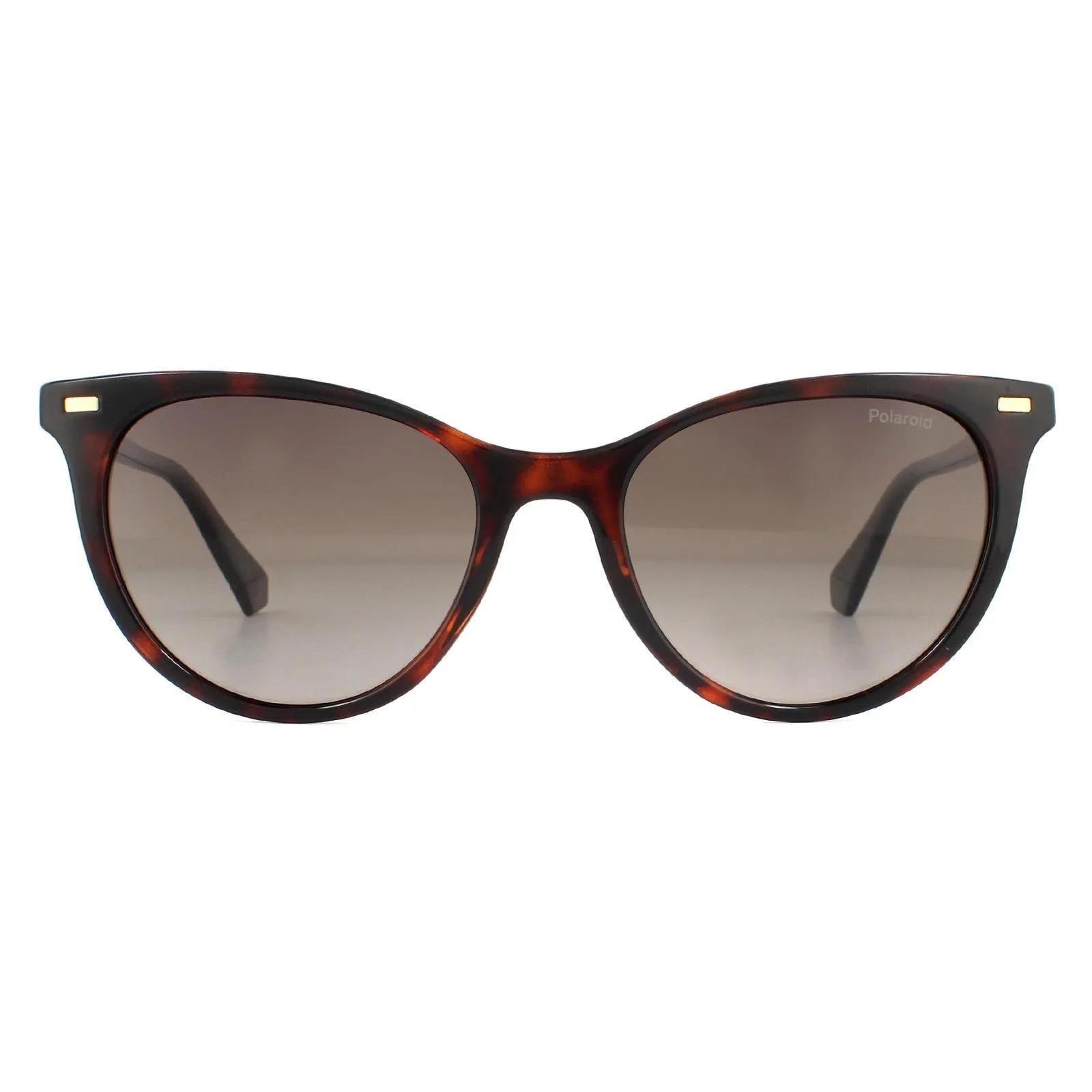 Sunglasses | Cat Eye Havana Brown Gradient Polarized Sunglasses | Polaroid